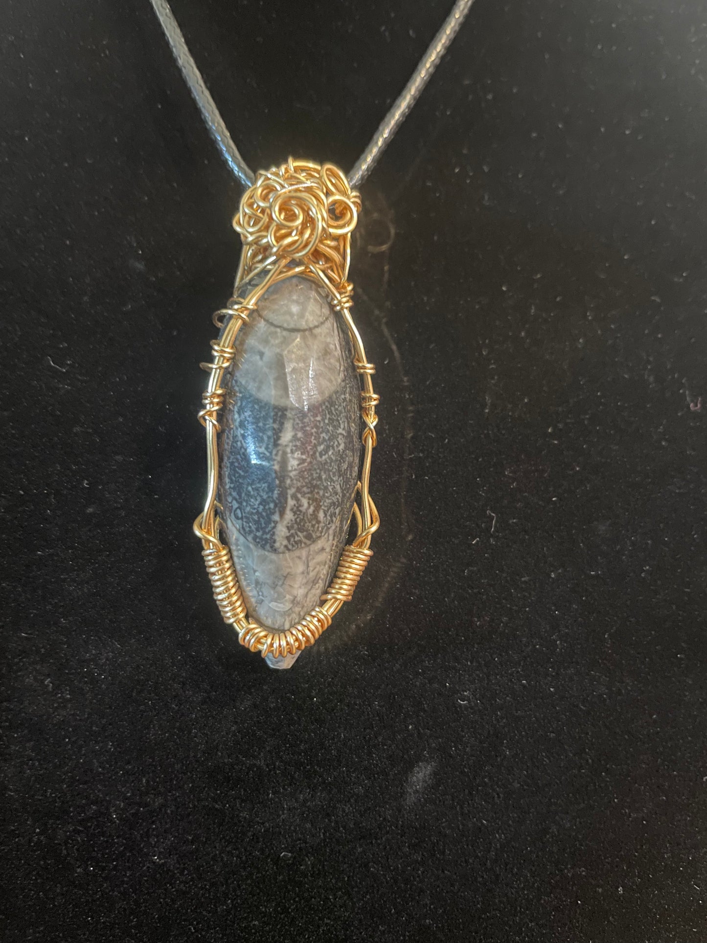 Orthasaurace fossil pendant (non tarnish gold)