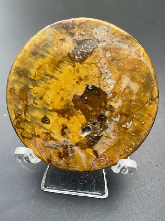 Pietersite