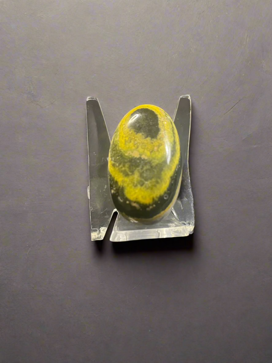 BUMBLEBEE JASPER